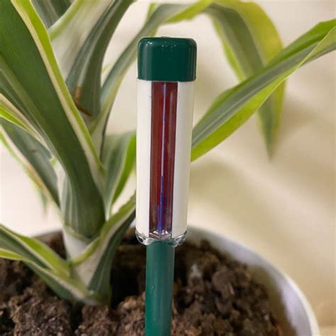 moisture indicator for potted plant